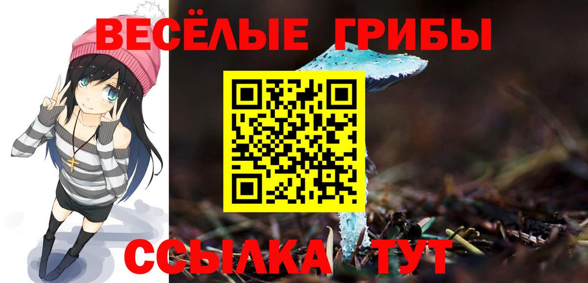Псилоцибиновые грибы GOLDEN TEACHER  Вход с VPN  Ялта 